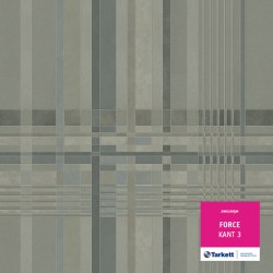 Kant 37